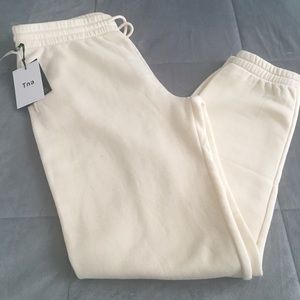 Aritzia Slim Sweatpants